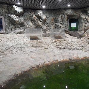 Crocodile exhibit