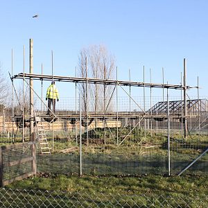New Lynx enclosure under construction. 31-12-14