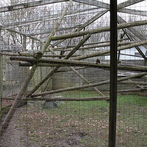 Lynx temporary enclosure 31-12-14