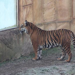 A frosty start, 30th December 2014