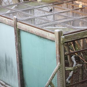 A frosty start, 30th December 2014