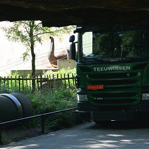 Sabi checking out  what's going on