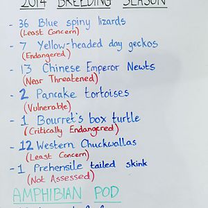 Whiteboard in Reptile House