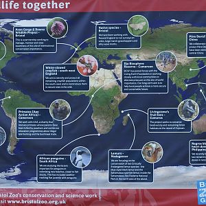 Conservation projects poster