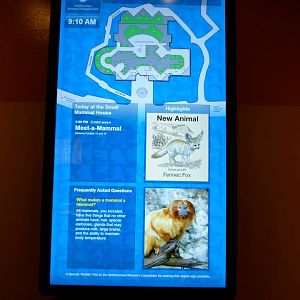 Small Mammal House Lobby Graphic