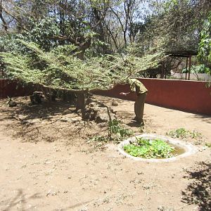 Outdoor snake enclosure