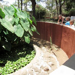 Nile Monitor enclosure