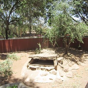 Savanna Monitor enclosure