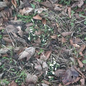 Heading in the right direction, 20th January 2015