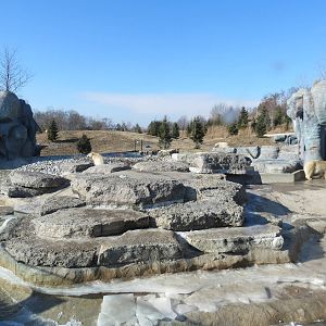 Polar Bear Exhibit