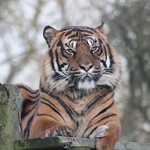 Bawa, 30th December 2014