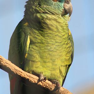 Archie, 30th December 2014