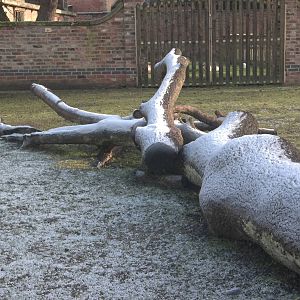 A frosty start, 30th December 2014