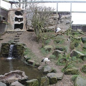Ibis enclosure 1-1-15