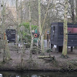 Ring-tailed Lemur Island exhibit 1-1-15