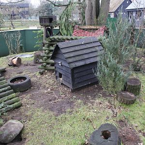 Raccoon Enclosure 1-1-15