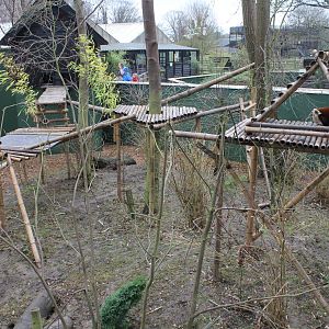 Newly created Red Panda exhibit 1-1-15