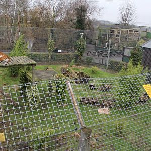 Tiger Enclosure 1-1-15