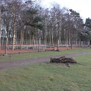 Extension to Wallaby enclosure 24-1-15