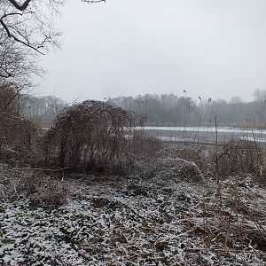 Nature Reserve in the Snow