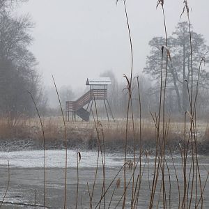 Nature Reserve in the Snow