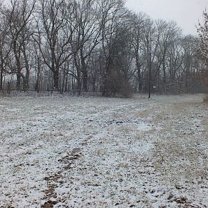 Nature Reserve in the Snow
