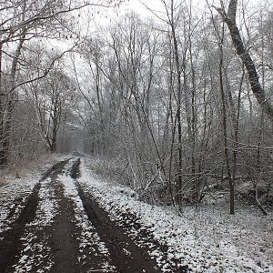 Nature Reserve in the Snow