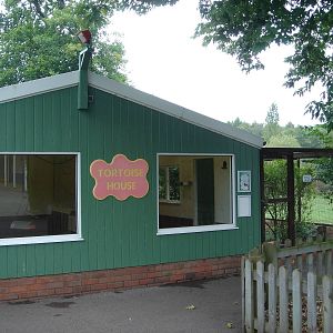 The old Tortoise House 2009