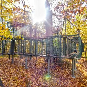 Oct. 2014 - Primates of the World - Apes of Africa - Outdoor Bonobo Exhibit