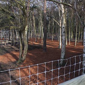 Extension to Wallaby enclosure 25-1-15