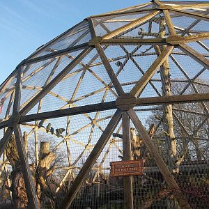 Sunlit Parrotsphere, 30th December 2014