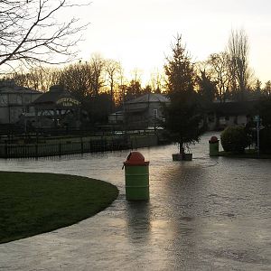 Late afternoon, 30th December 2014