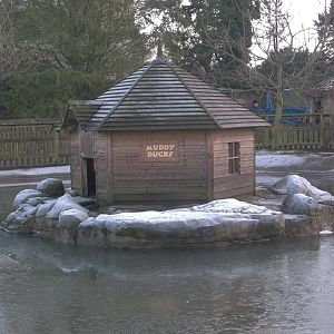 Frosty Duck House and island, 30th December 2014