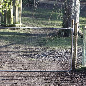 Temporary fencing in South American paddock, 2nd January 2015
