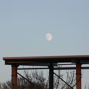 Moon over Bird Show Theatre, 2nd January 2015