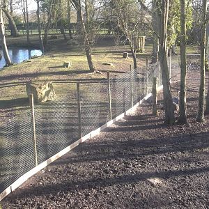 Temporary fencing in South American paddock, 2nd January 2015