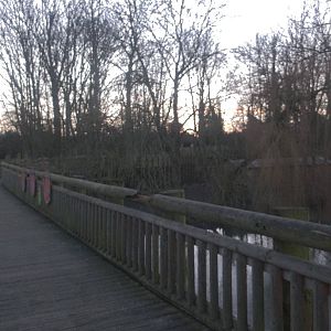 Tree Top Walk, 2nd January 2015