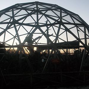 Sun setting behind the Parrotsphere, 2nd January 2015