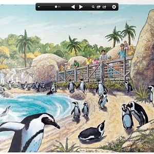 Penguin Beach Concept Drawing