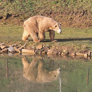 Victor in winter sun. 25-1-15
