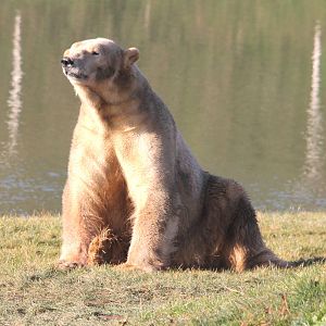 A mucky Victor 25-1-15