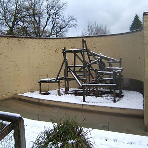 View of Orang enclosure in snow