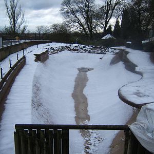 View of Sealion pool