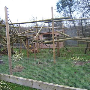 View of White-faced Saki enclosure and house