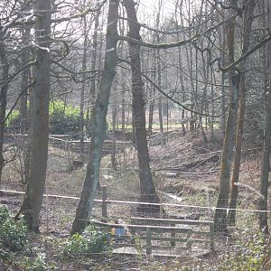 Part of the Moose Enclosure at Knowsley, 01/02/15