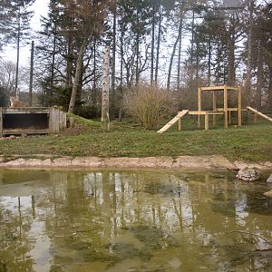 Amur tiger (exhibit) : Whipsnade : 25 Jan 2015
