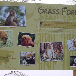 Bamboo Forest Signage