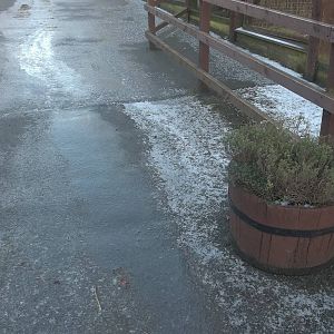 The winter sun does not reach here, 30th January 2015