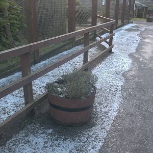 The winter sun does not reach here, 30th January 2015