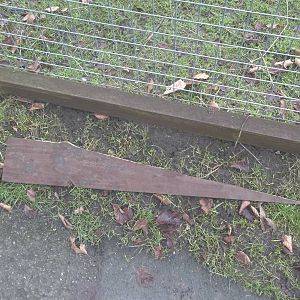 Was a goat or the wind to blame? 31st January 2015